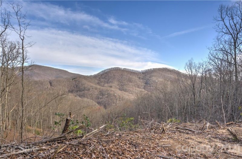 Property image 3 at Lt 96 Hosta Drive, Sylva, NC 28779