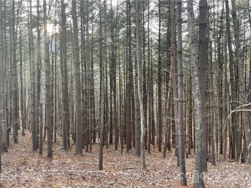 Property image 2 at 29 Tallwood Road, Leicester, NC 28748