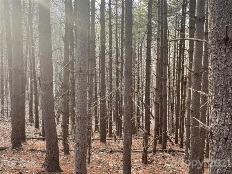 Property image 3 at 29 Tallwood Road, Leicester, NC 28748