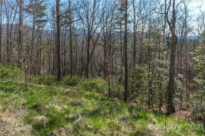 Property image 5 at 26 Hickory Top Lane, Asheville, NC 28805