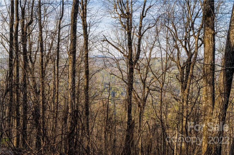 Property image 2 at 360 W Chestnut Ridge, Zirconia, NC 28739