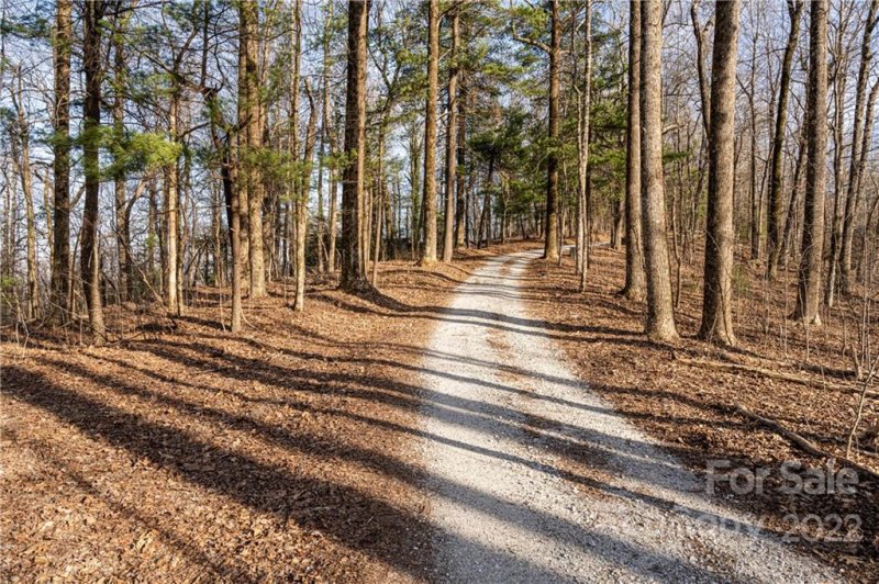 Property image 3 at 360 W Chestnut Ridge, Zirconia, NC 28739