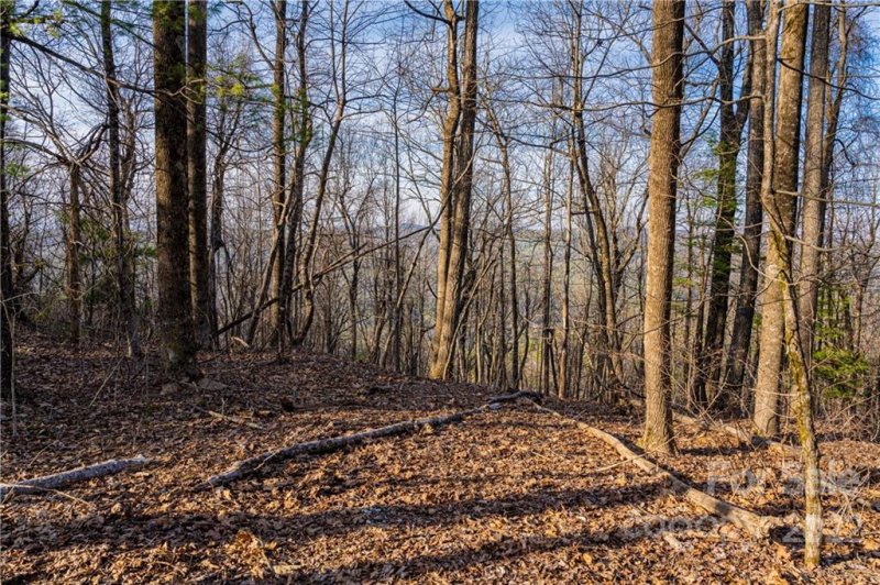 Property image 4 at 360 W Chestnut Ridge, Zirconia, NC 28739