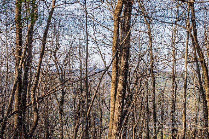 Property image 5 at 360 W Chestnut Ridge, Zirconia, NC 28739