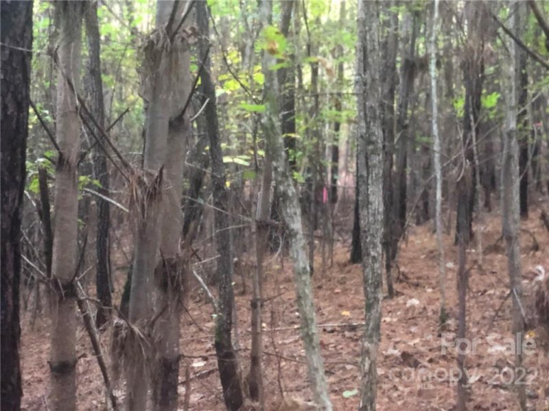 Property image 4 at 243 Grandfathers Pass, Valdese, NC 28690