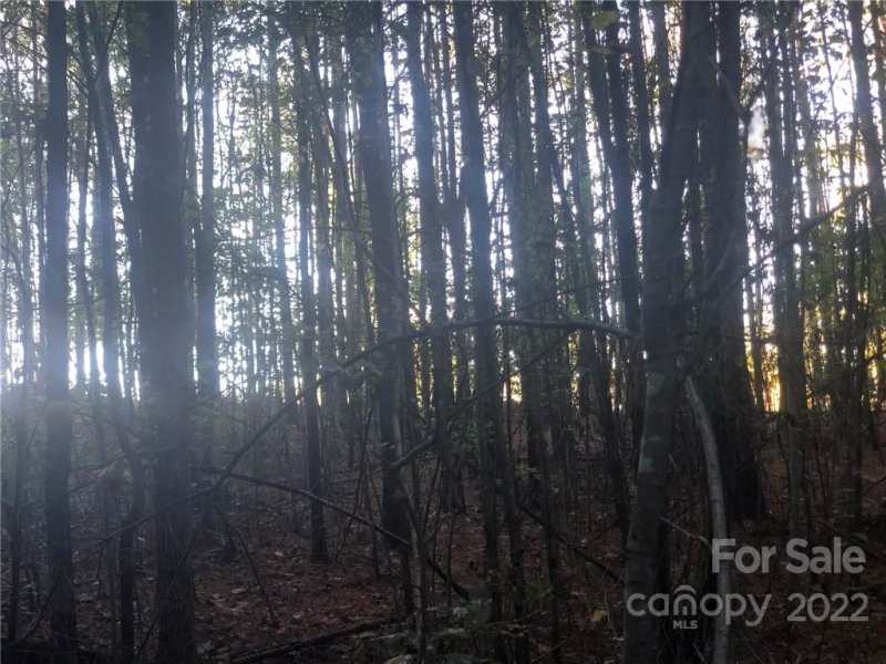 Property image 5 at 243 Grandfathers Pass, Valdese, NC 28690