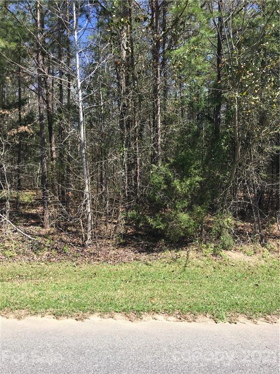 Property image 2 at 2024 Briarwood Circle, Fort Mill, SC 29715