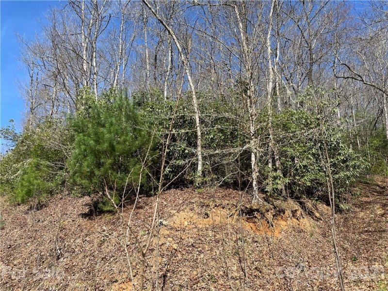 Property image 2 at Lot 43 Moonlight Drive, Bryson City, NC 28713
