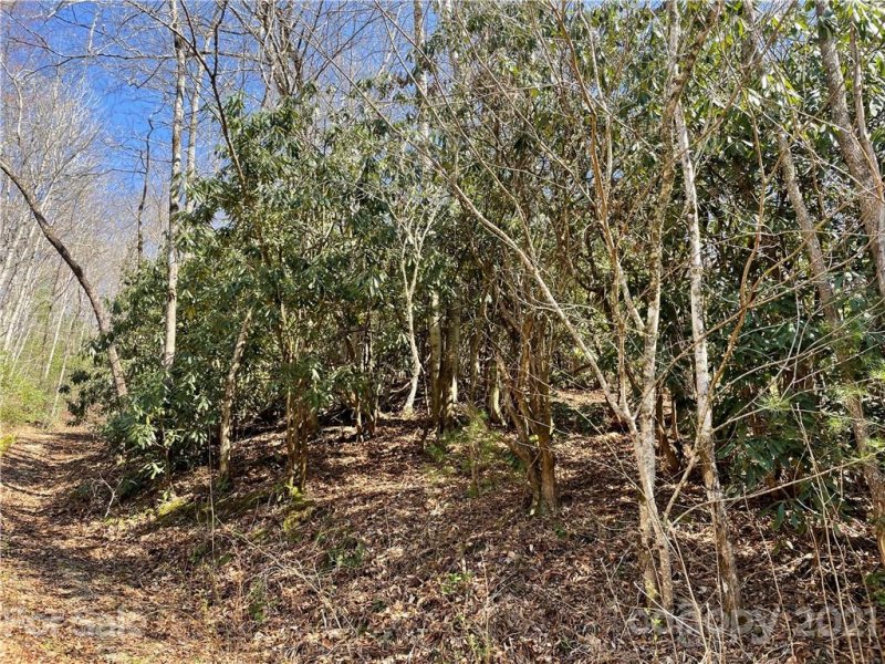 Property image 4 at Lot 43 Moonlight Drive, Bryson City, NC 28713