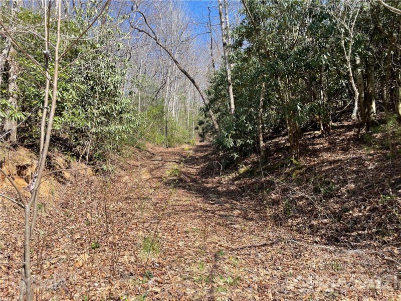 Property image 5 at Lot 43 Moonlight Drive, Bryson City, NC 28713