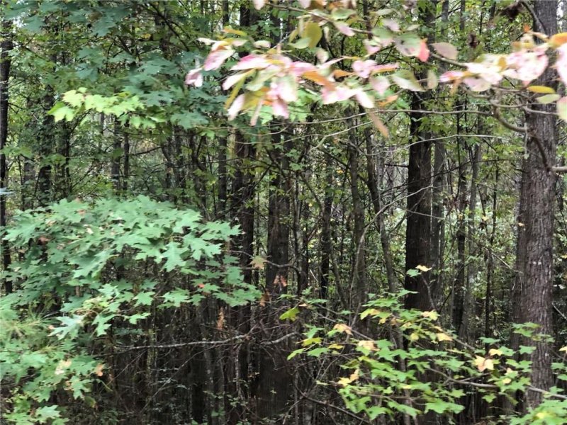 Property image 3 at 237 Grandfathers Pass, Valdese, NC 28690