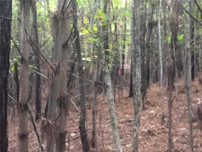 Property image 4 at 237 Grandfathers Pass, Valdese, NC 28690