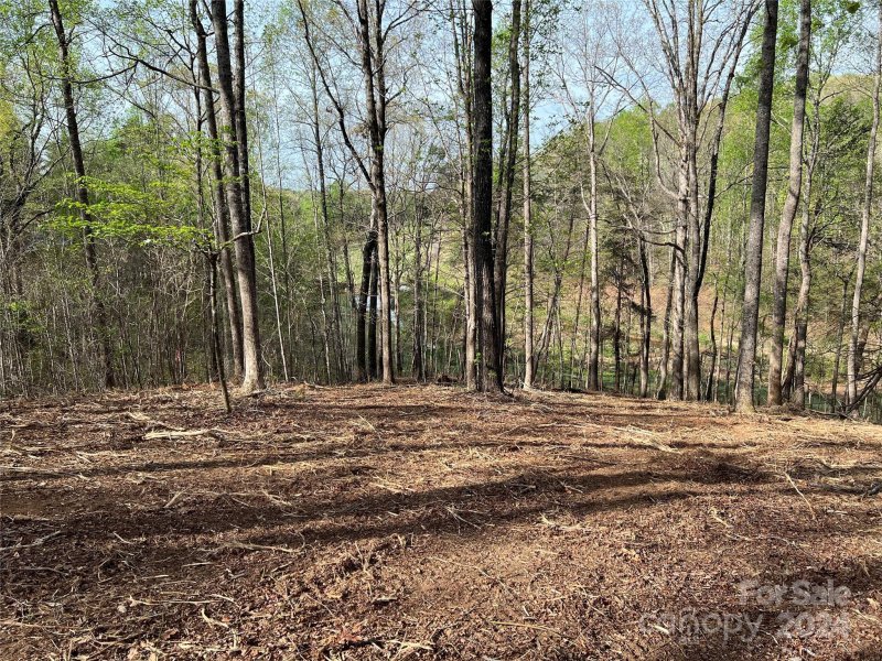 Property image 5 of 0 Moss Drive in Cleghorn Plantation, Rutherfordton, NC 28139