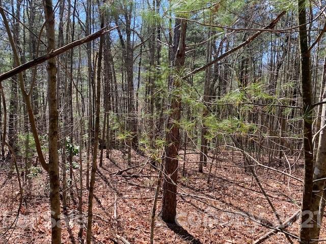 Property image 2 at 102 Emerald Cove Court, Hendersonville, NC 28792