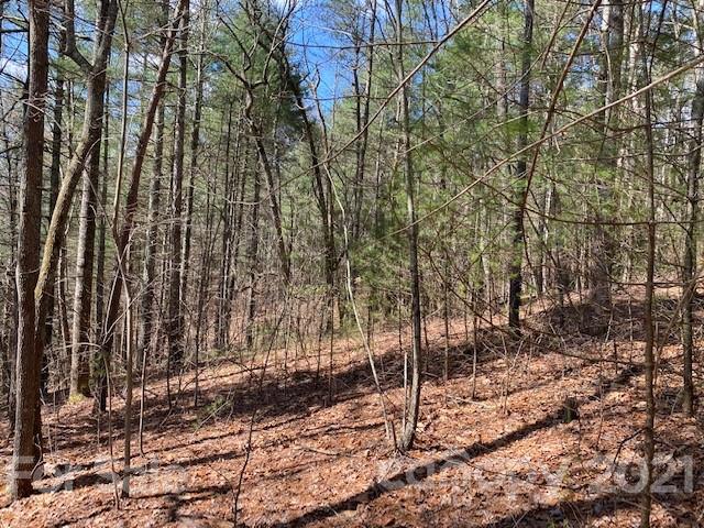 Property image 3 at 102 Emerald Cove Court, Hendersonville, NC 28792