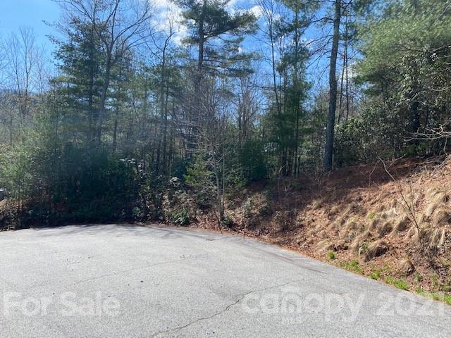 Property image 4 at 102 Emerald Cove Court, Hendersonville, NC 28792