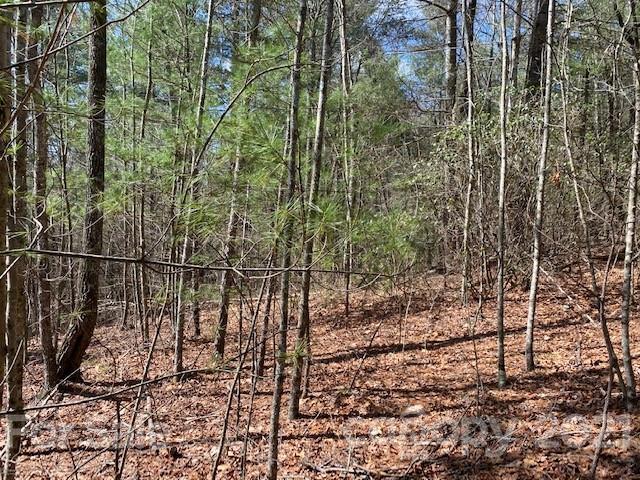 Property image 5 at 102 Emerald Cove Court, Hendersonville, NC 28792