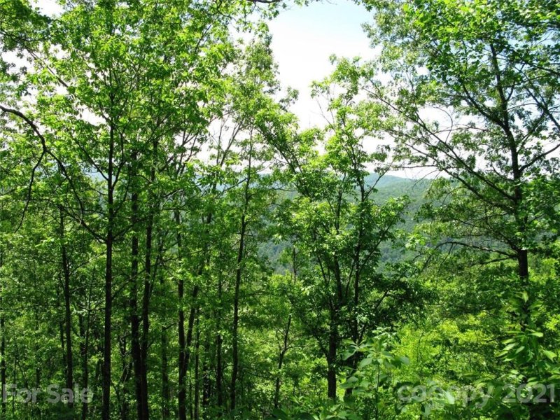 Property image 2 at 330 Raccoon Run, Marshall, NC 28753