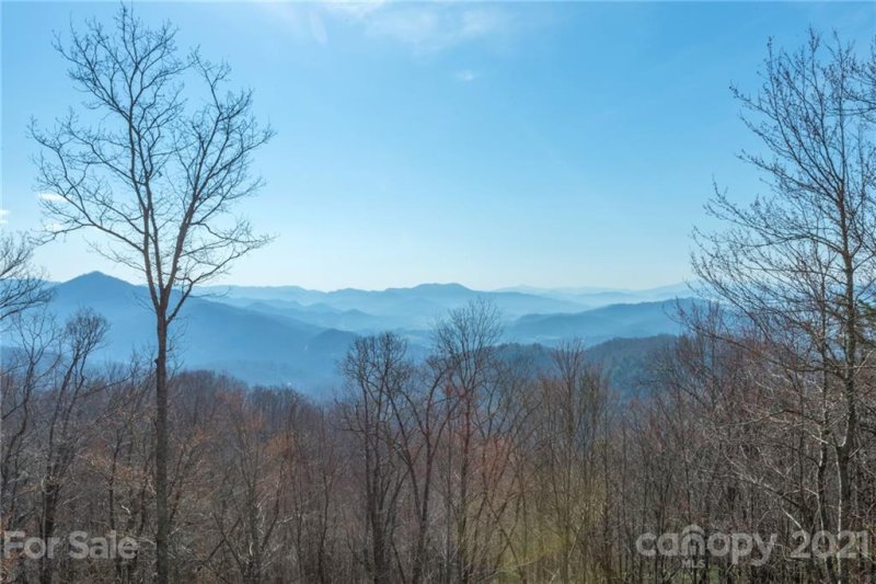 Property image 2 at 2125 Saranac Lane, Waynesville, NC 28785