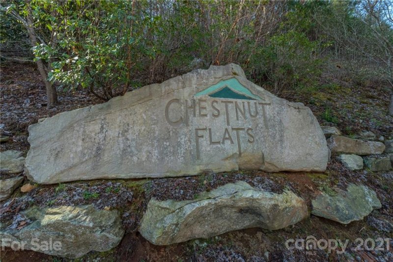 Property image 3 at 2125 Saranac Lane, Waynesville, NC 28785