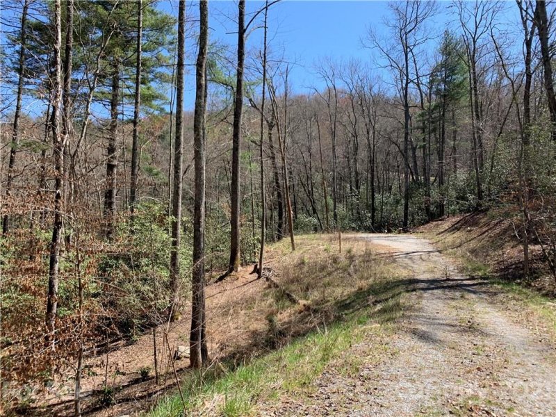 Property image 2 at 208 Gladiola Drive, Pisgah Forest, NC 28768