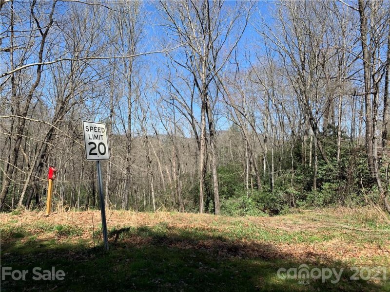 Property image 3 at 208 Gladiola Drive, Pisgah Forest, NC 28768