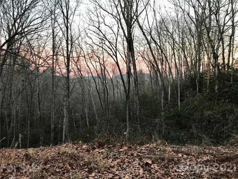 Property image 4 at 208 Gladiola Drive, Pisgah Forest, NC 28768