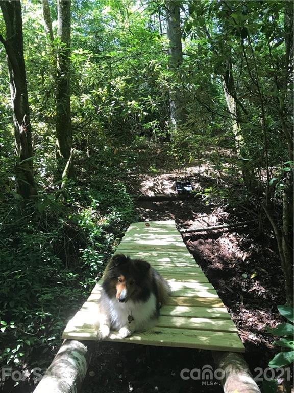 Property image 5 at 208 Gladiola Drive, Pisgah Forest, NC 28768