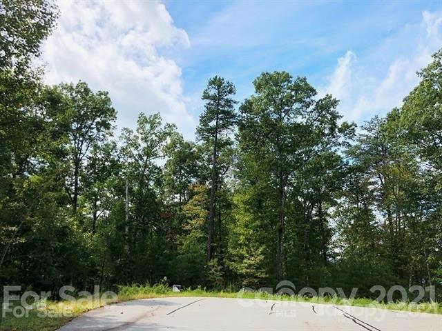Property image 5 at V L Cove Forest Road, Marion, NC 28752