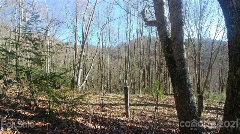 Property image 3 at 52 Turn A Bout Court, Waynesville, NC 28785