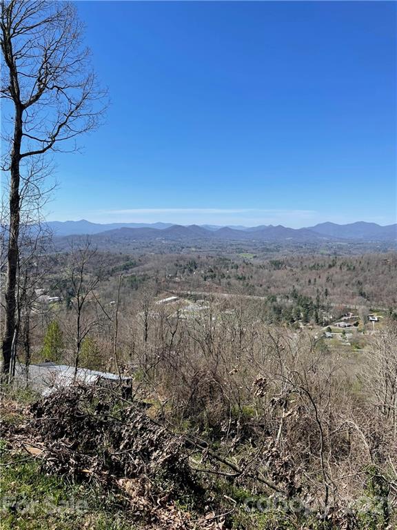 Property image 2 at 99999 Mostert Drive, Asheville, NC 28804