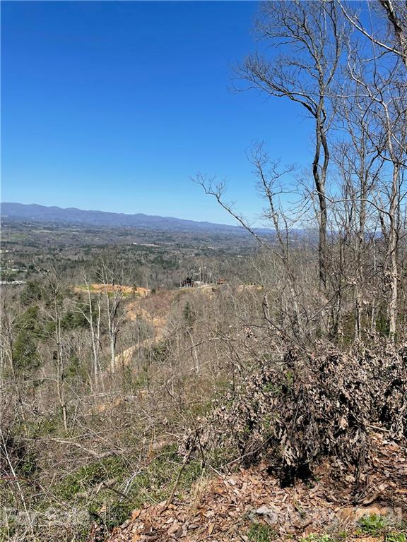 Property image 4 at 99999 Mostert Drive, Asheville, NC 28804