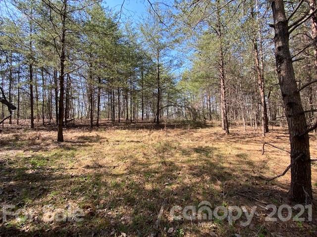 Property image 2 at 0000 Mcowenben Pass, Lake Lure, NC 28746