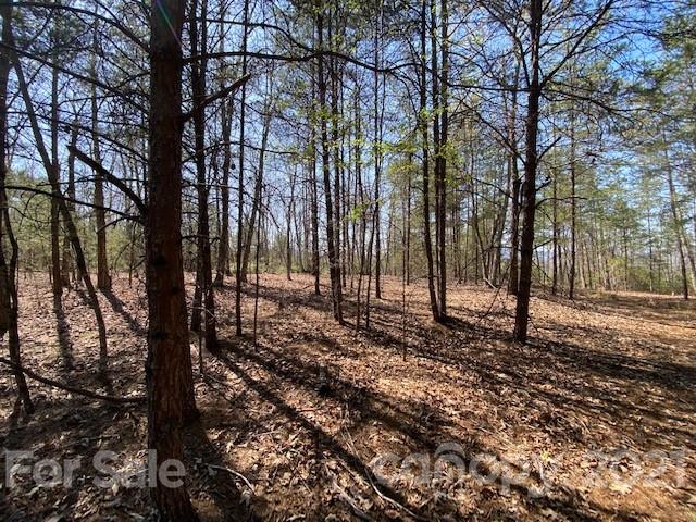 Property image 3 at 0000 Mcowenben Pass, Lake Lure, NC 28746