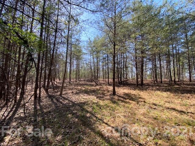 Property image 4 at 0000 Mcowenben Pass, Lake Lure, NC 28746