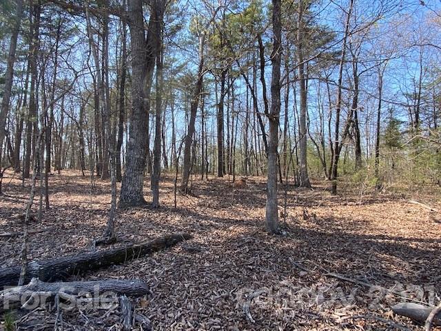 Property image 5 at 0000 Mcowenben Pass, Lake Lure, NC 28746