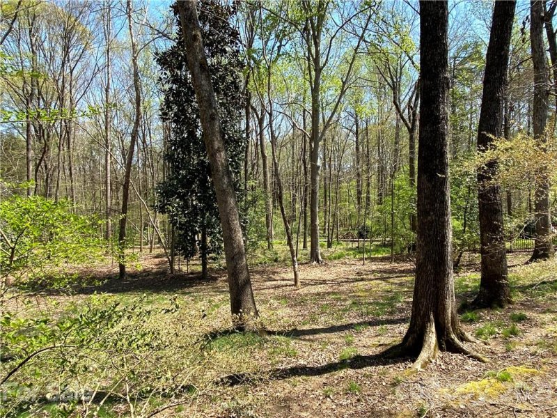 Property image 4 at 6925 Cameron Glen Drive, Charlotte, NC 28210