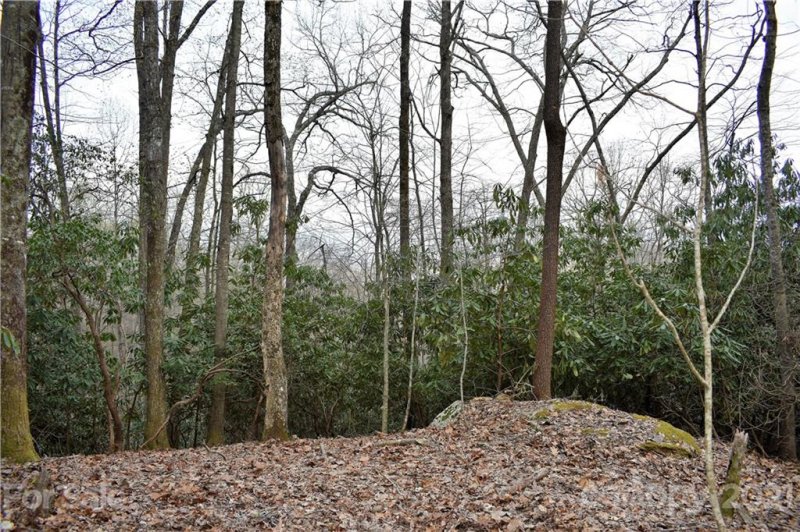 Property image 3 at Tbd Skye Drive, Pisgah Forest, NC 28768