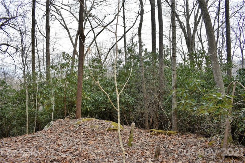 Property image 4 at Tbd Skye Drive, Pisgah Forest, NC 28768