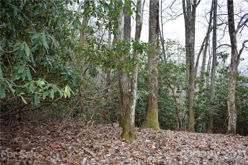 Property image 5 at Tbd Skye Drive, Pisgah Forest, NC 28768