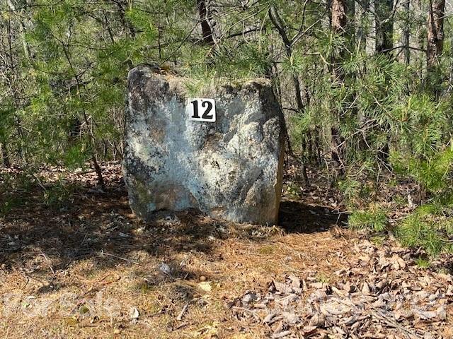 Property image 2 at 0000 Boulder Ridge, Lake Lure, NC 28746