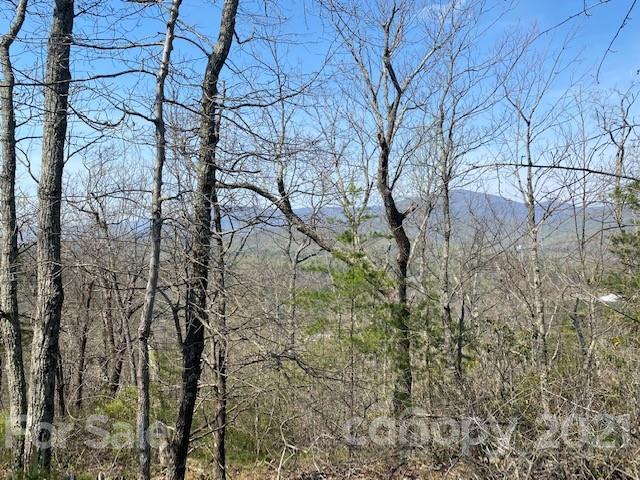 Property image 3 at 0000 Boulder Ridge, Lake Lure, NC 28746