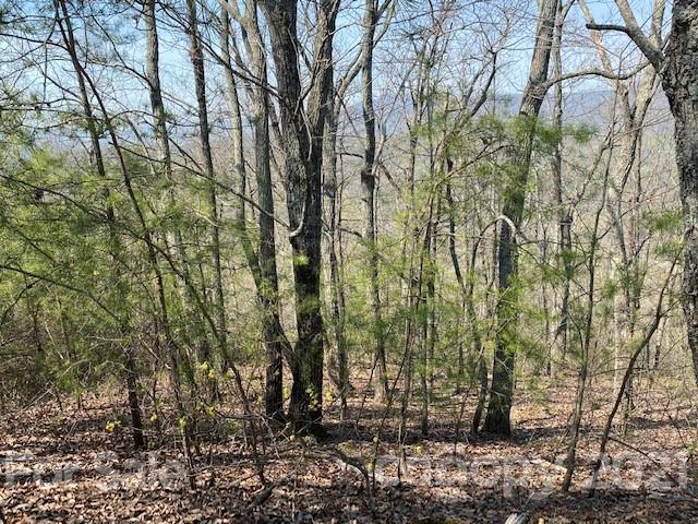 Property image 4 at 0000 Boulder Ridge, Lake Lure, NC 28746