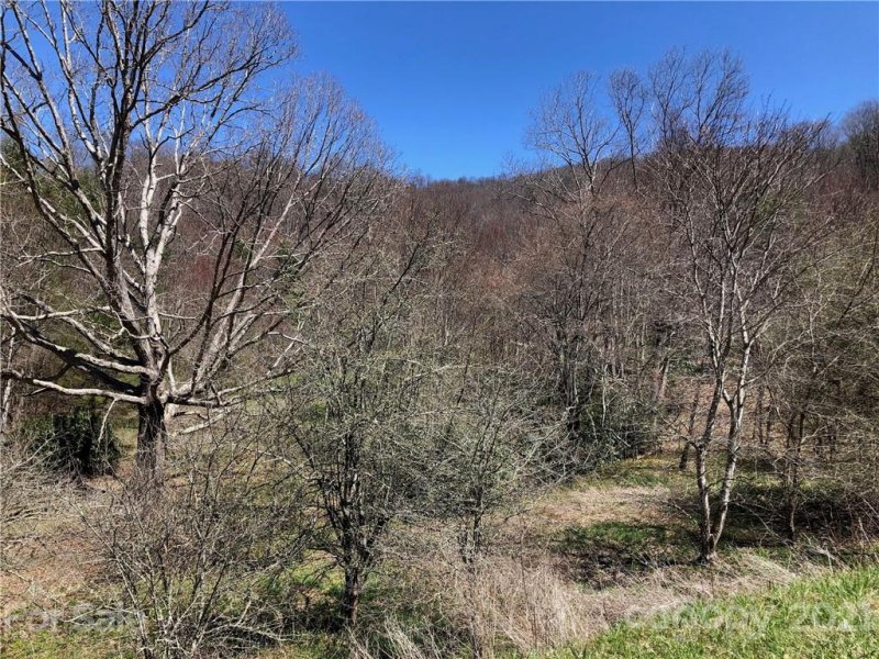 Property image 4 at 99999 Sunset Falls Drive, Clyde, NC 28721