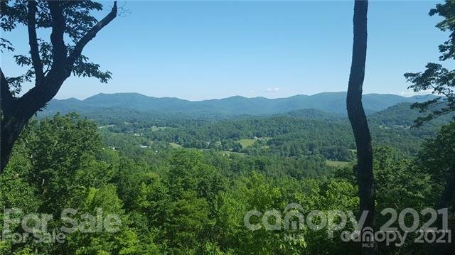 Property image 3 at 137 Sovereign Lane, Fairview, NC 28730