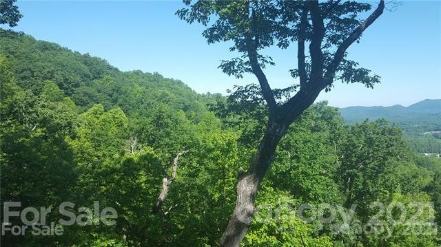 Property image 5 at 137 Sovereign Lane, Fairview, NC 28730