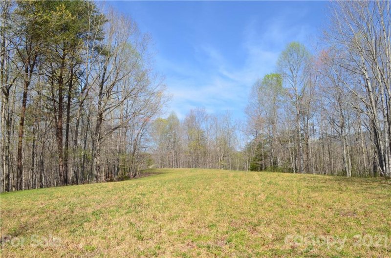 Property image 2 at 999 Fallen Tree Lane, Mill Spring, NC 28756