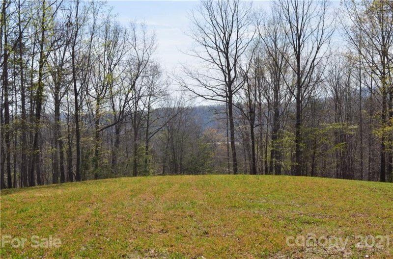 Property image 3 at 999 Fallen Tree Lane, Mill Spring, NC 28756