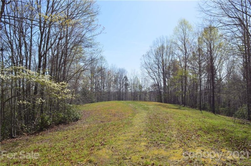 Property image 4 at 999 Fallen Tree Lane, Mill Spring, NC 28756