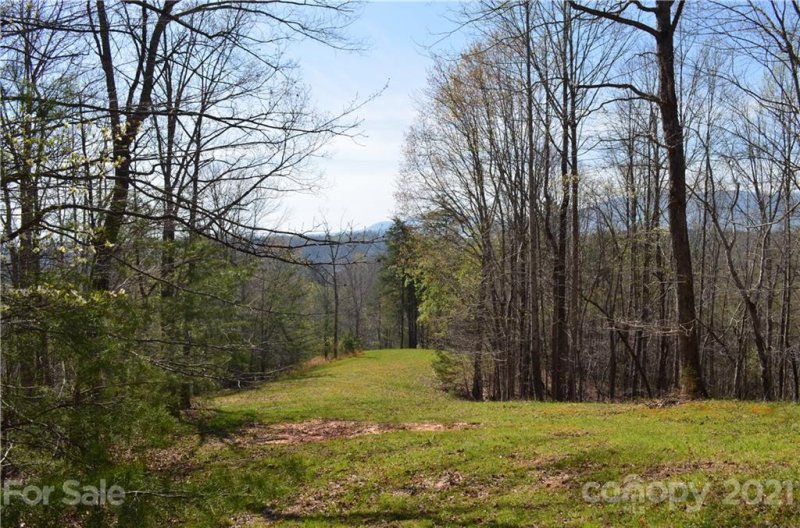 Property image 5 at 999 Fallen Tree Lane, Mill Spring, NC 28756